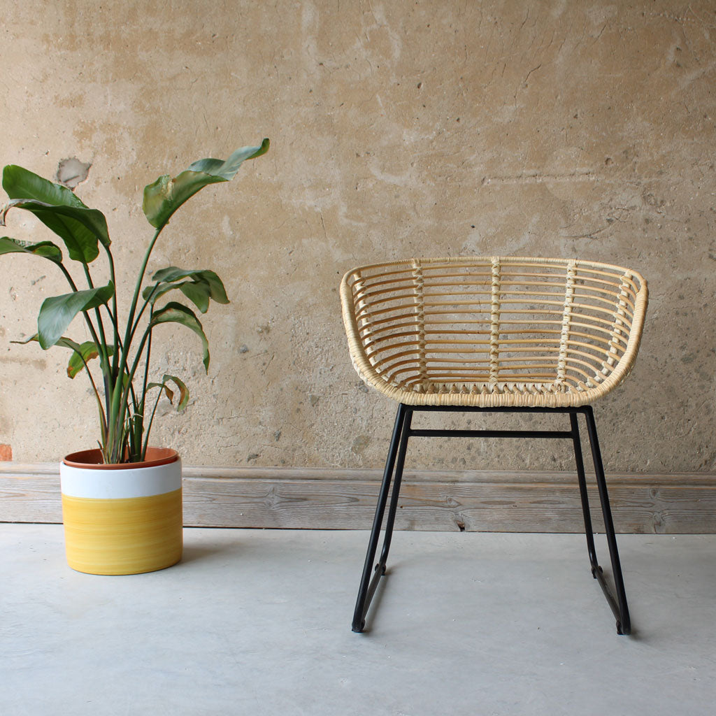 Emil Natural Rattan and Iron Dining Chair