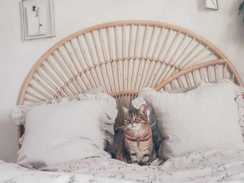 Twilight natural rattan king headboard, rattan bedheads by the rattan company