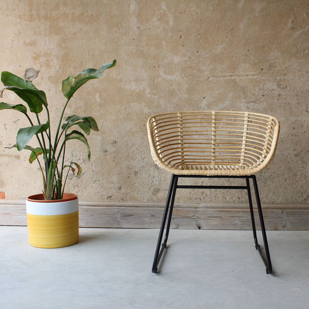 Rattan armchair deals indoor