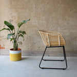 Emil Natural Rattan and Iron Dining Chair