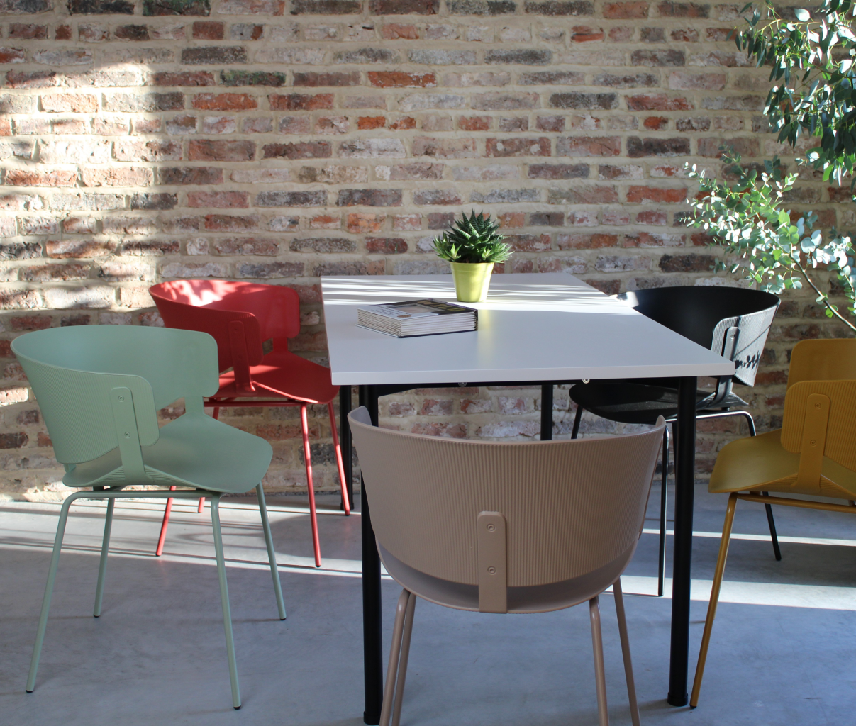 Halcyon Dining Chair