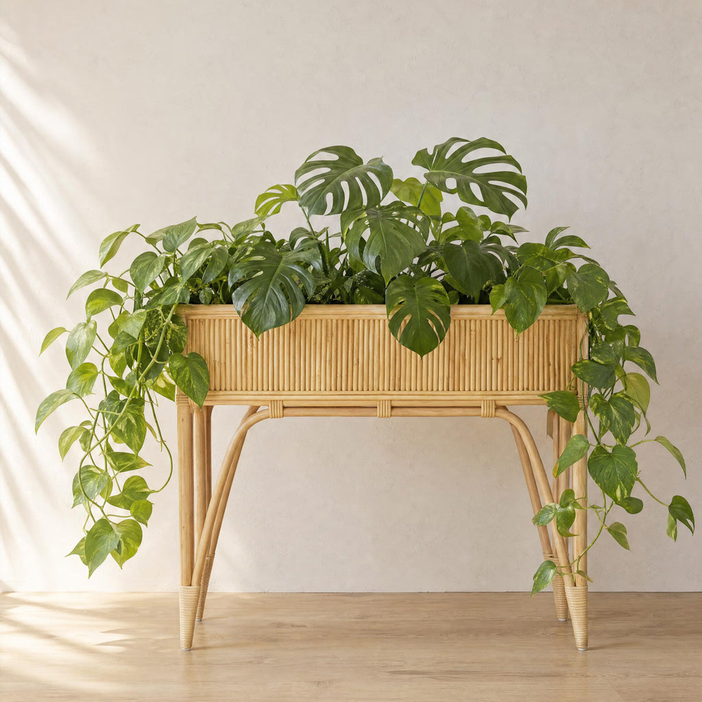 Sulawesi natural rattan planter