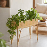 Sulawesi natural rattan planter