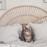 Twilight natural rattan double headboard, rattan bedheads by the rattan company
